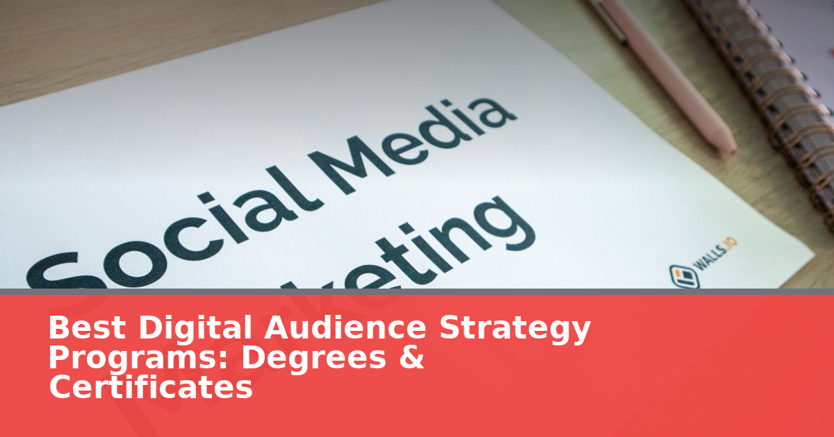 Best Digital Audience Strategy Programs: Degrees & Certificates